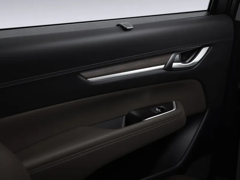 mazda-cx-8-in_8